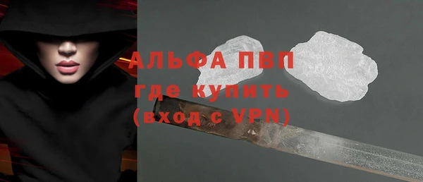 индика Карпинск
