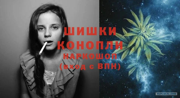 индика Карпинск