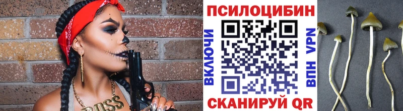 Псилоцибиновые грибы ЛСД Козельск